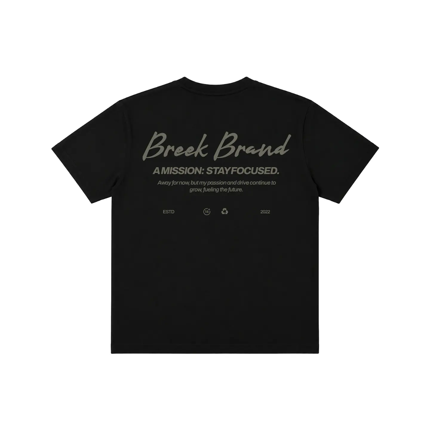 Polera Regular Fit “Breek Brand” — Signature Minimal Tee 1