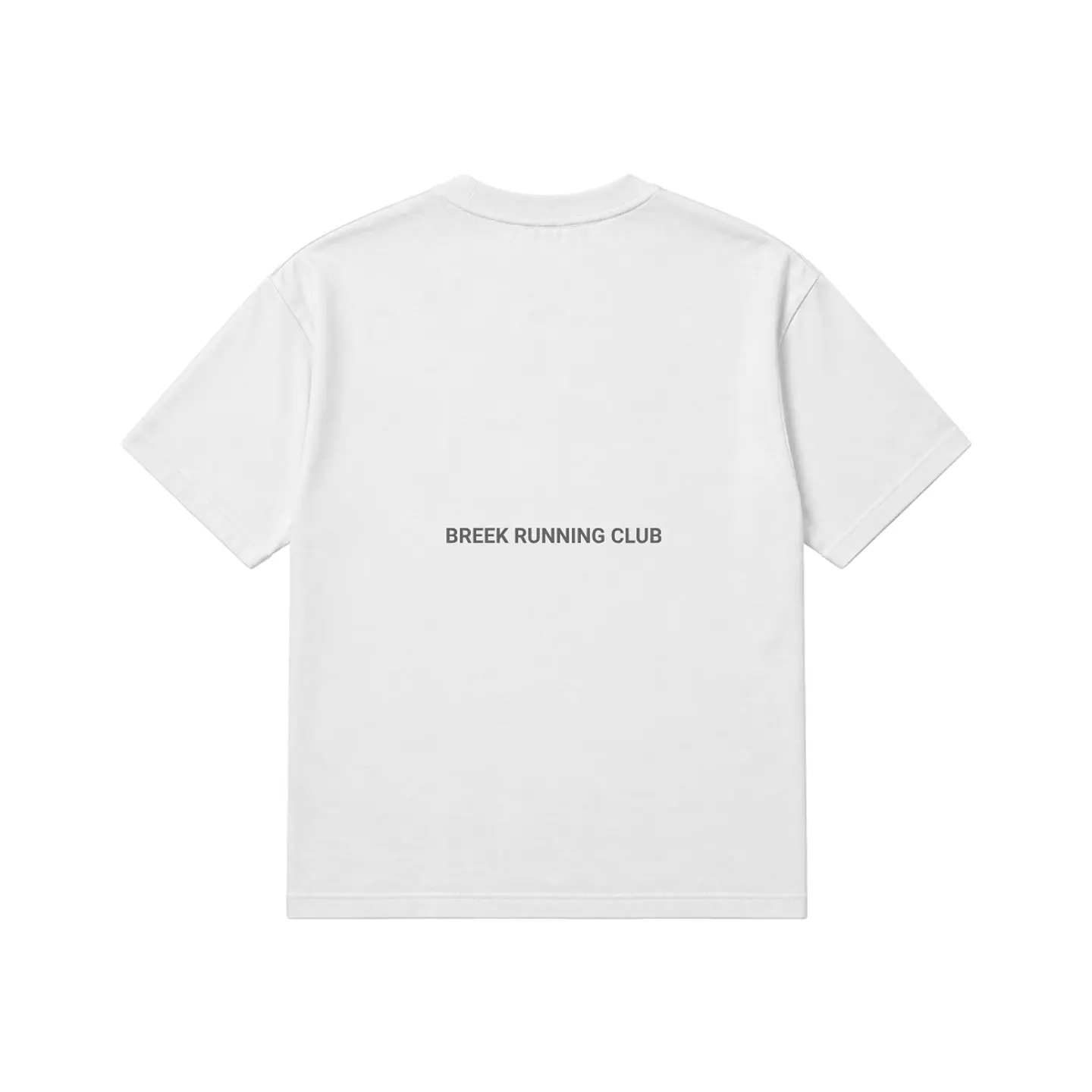 Polera Regular Fit BREEK WINGS 2