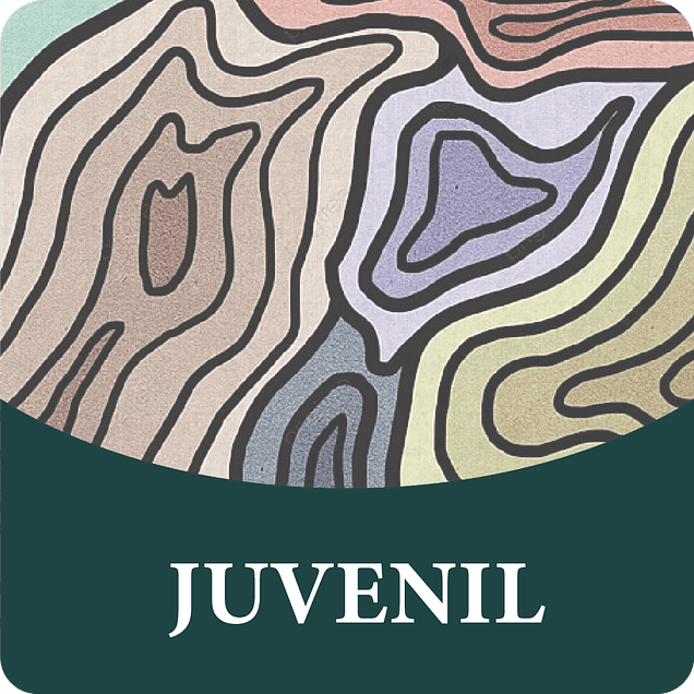 Juvenil