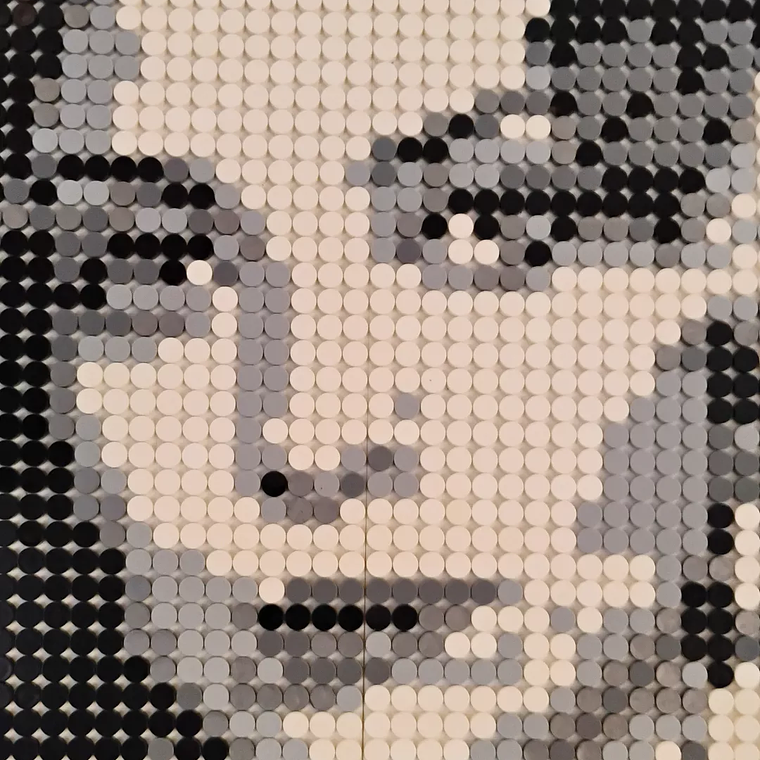 Cuadro Retrato Mon Laferte Pixel Art - Mosaico 2048 Piezas | BrickPicture 2