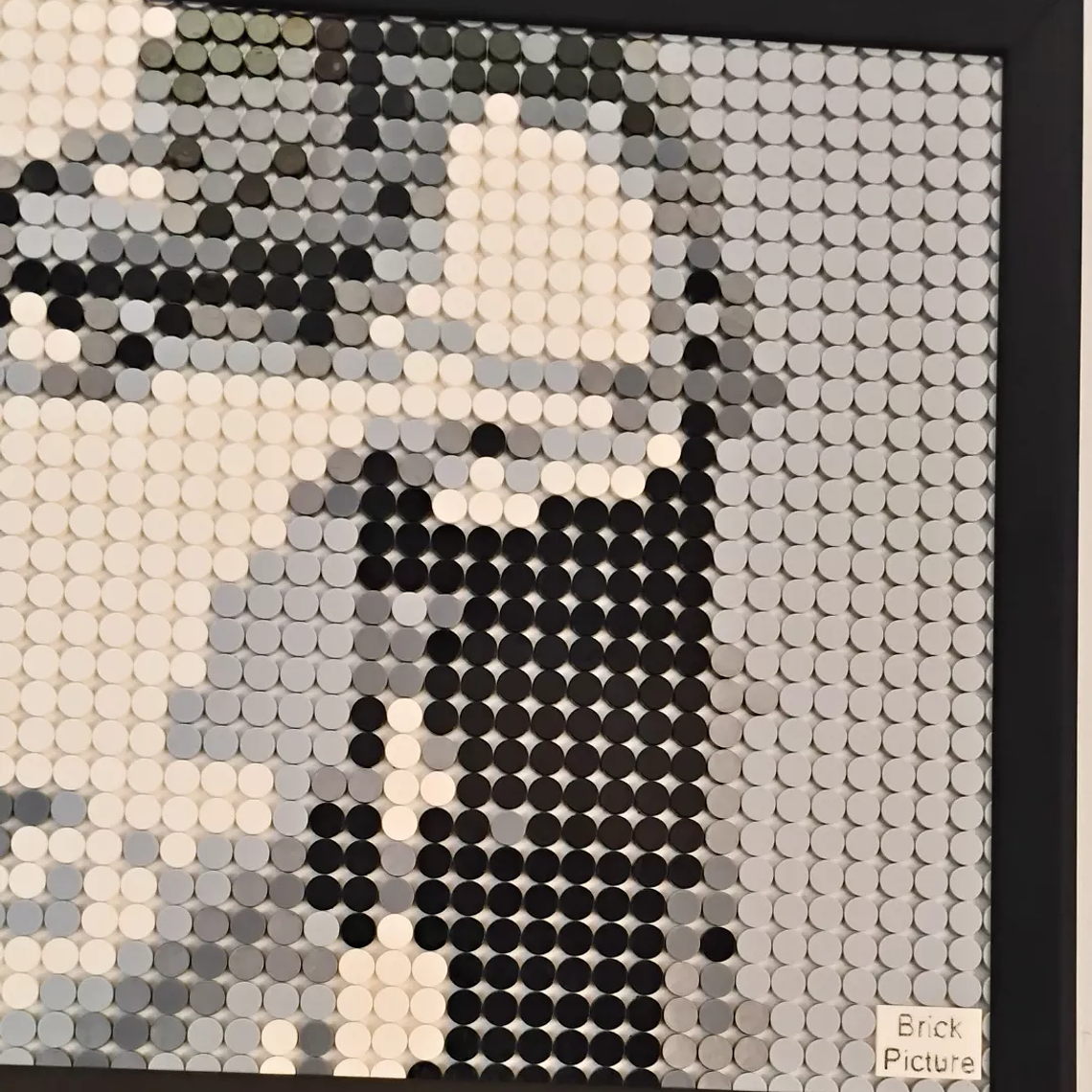 Cuadro Retrato Mon Laferte Pixel Art - Mosaico 2048 Piezas | BrickPicture 6