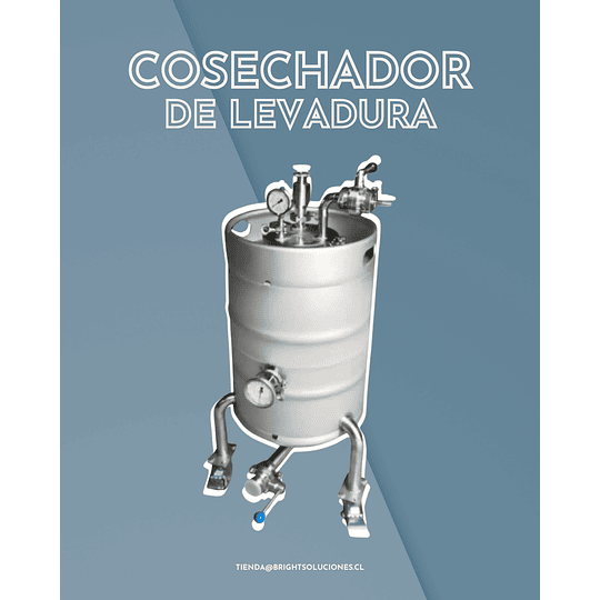 Brink de levadura - Image 1