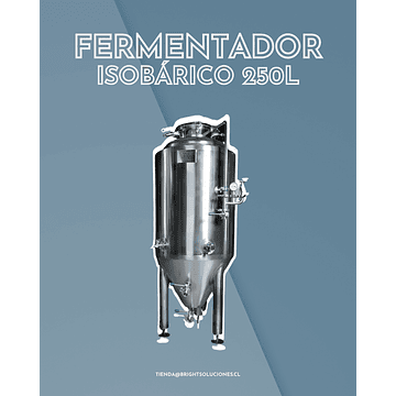 Fermentador Isobárico 250L Efectivos