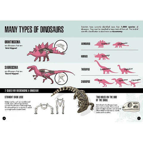 The Age of Dinosaurs 3D Model Triceratops + Libro en Inglés 