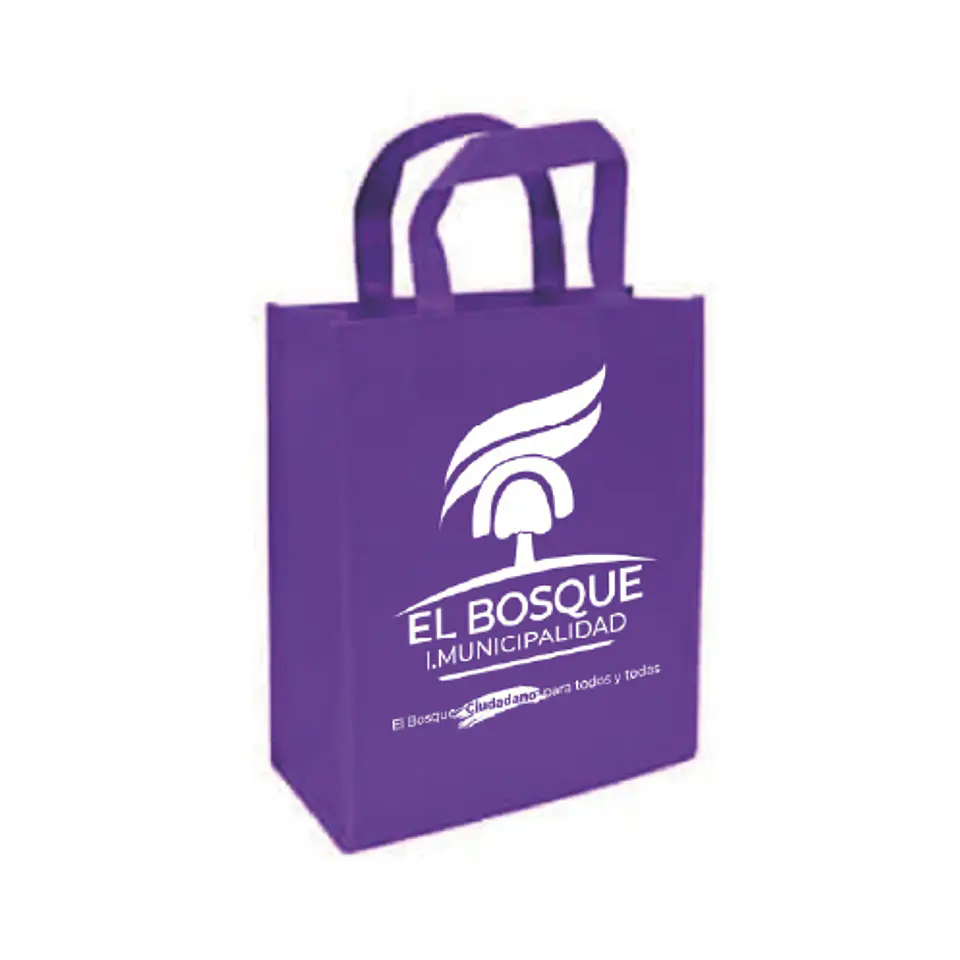 Bolsa Reutilizable TNT G06 30x38 1