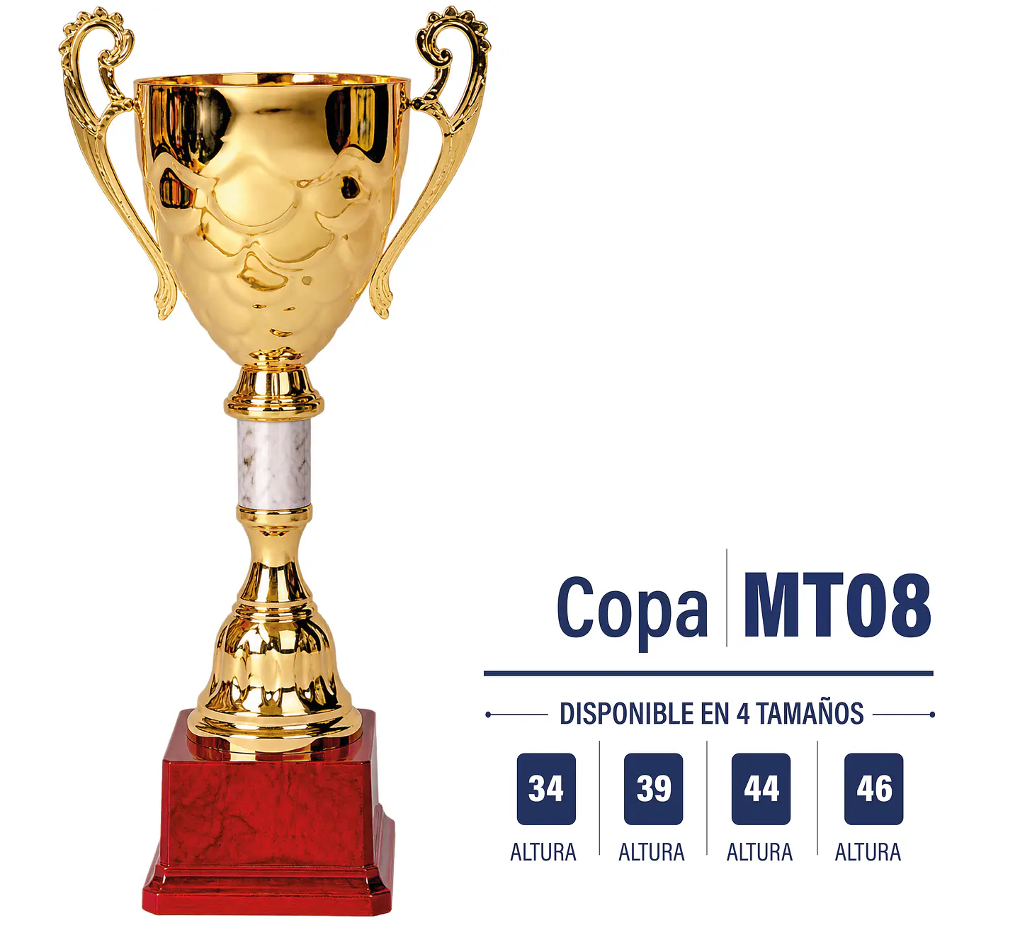 Copa dorada MT 08 1