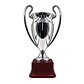 Copa Plateada Champions Euro cup Pequeña - Miniatura 2