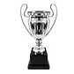Copa Champions Euro Cup Mediana - Miniatura 3