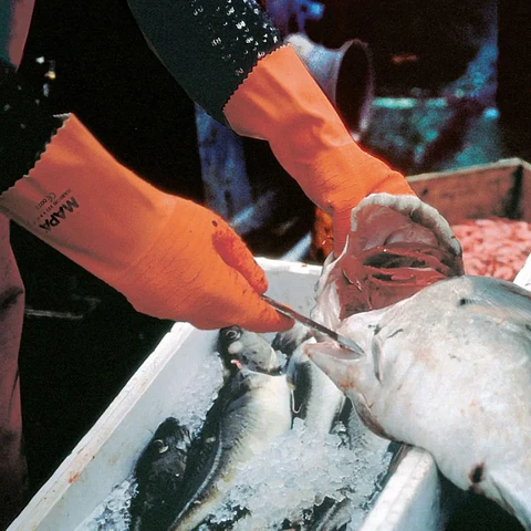 Guante Mapa Harpon 321