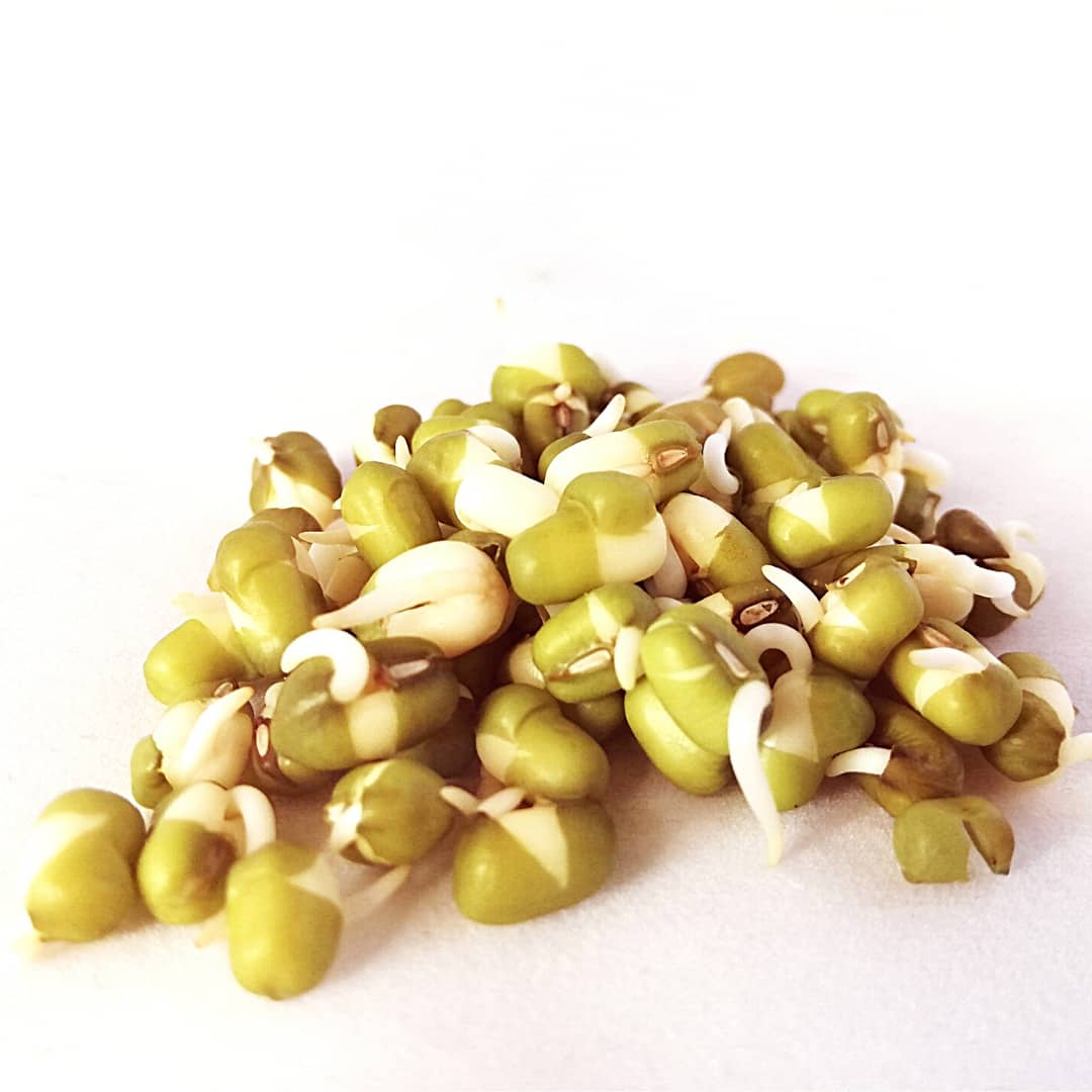 Semilla de Frijol Mung (40gr)