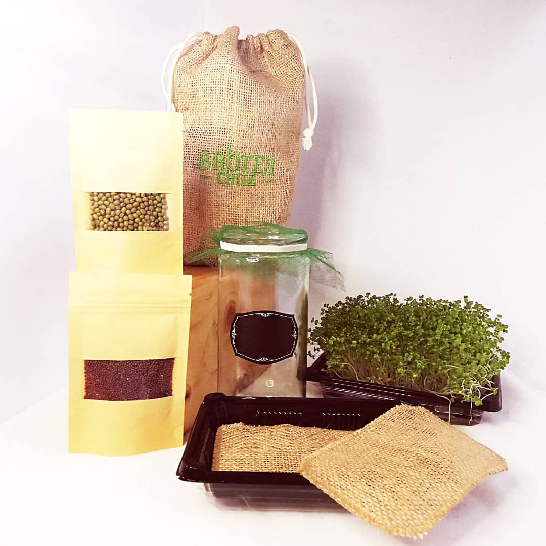Kit de Germinación