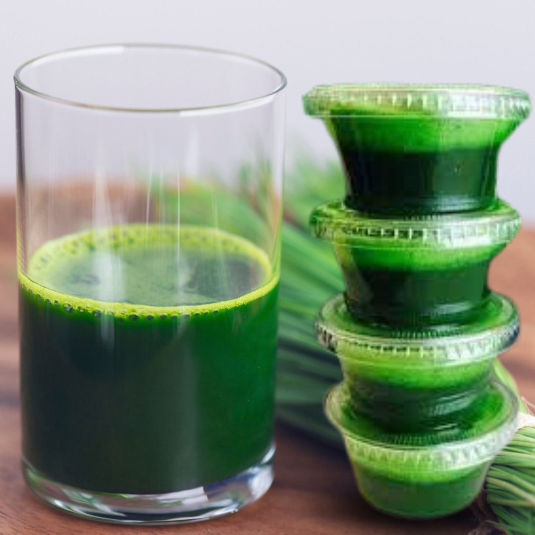 Wheatgrass (30 shots) *Solo RM