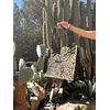 Bolso Print Estrella