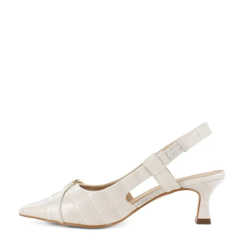 Mazzarri Zapatos VERONA 2