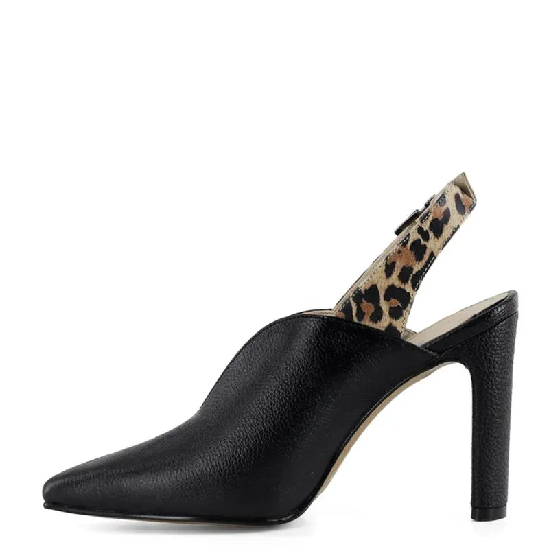 Bruno Ferrini Zapatos DG2231 2