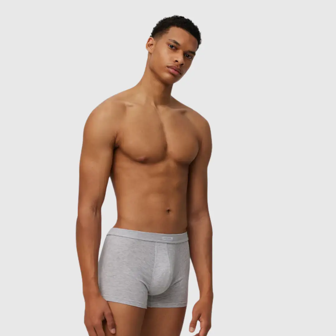 Pack 3 Boxers Algodão Cinza 1