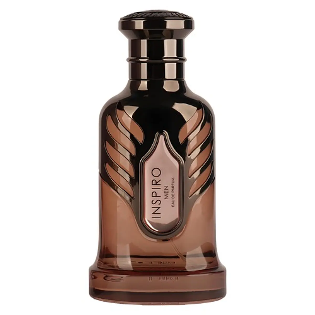 RIIFS INSPIRO MEN EDP 100 ML 2