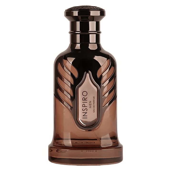 RIIFS INSPIRO MEN EDP 100 ML 2