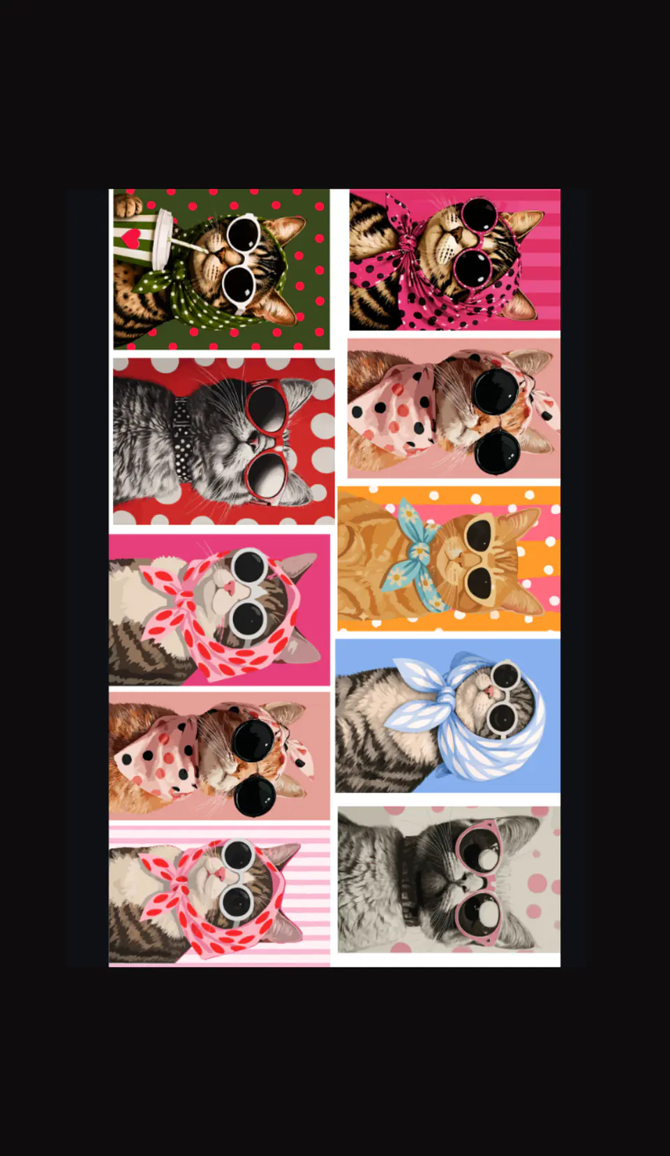 GATITOS FASHION 2026 1