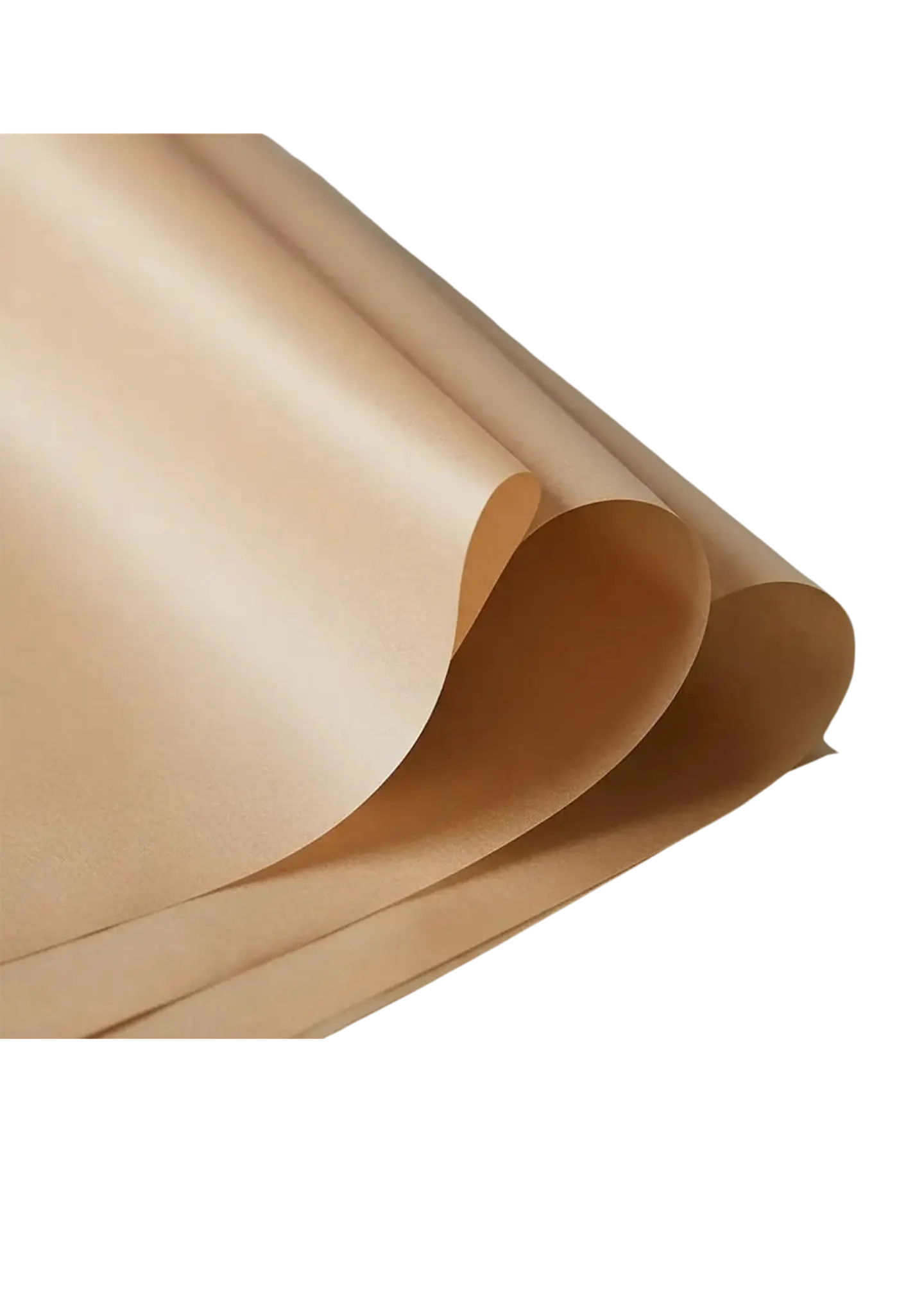 PAPEL TEFLONADO 1