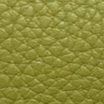 CORREA 2.5CM (1) 23