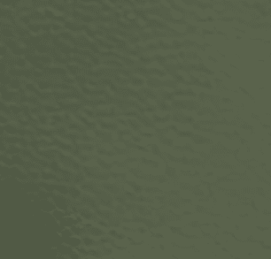 CORREA 2.5CM (1) 49