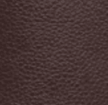CORREA 2.5CM (2) 50