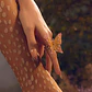 ANILLO BUTTERFLY AMARILLO - Miniatura 2