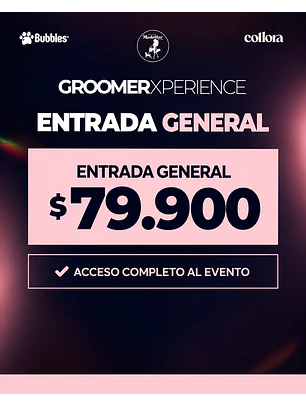Groomer experience General 