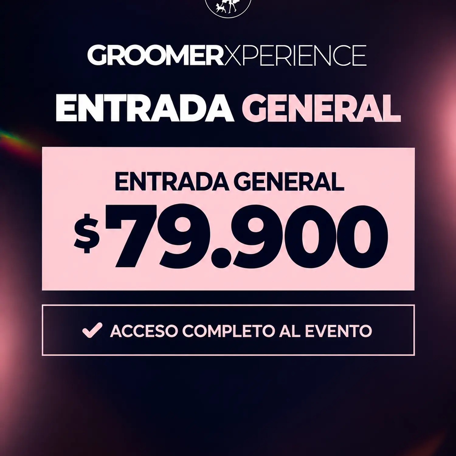 Groomer experience General 