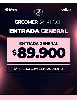Groomer experience General 
