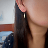 Aretes colgantes hojas pequeñas