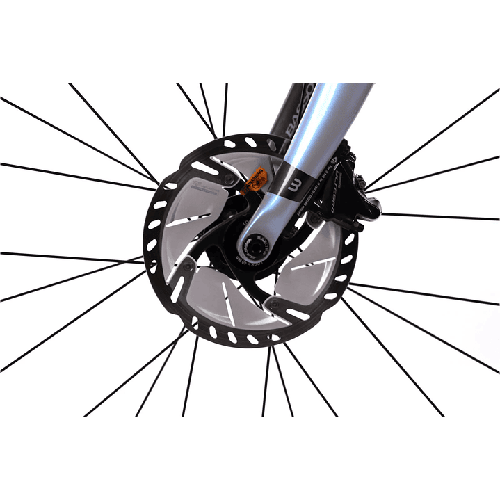 Basso Diamante Disc 5