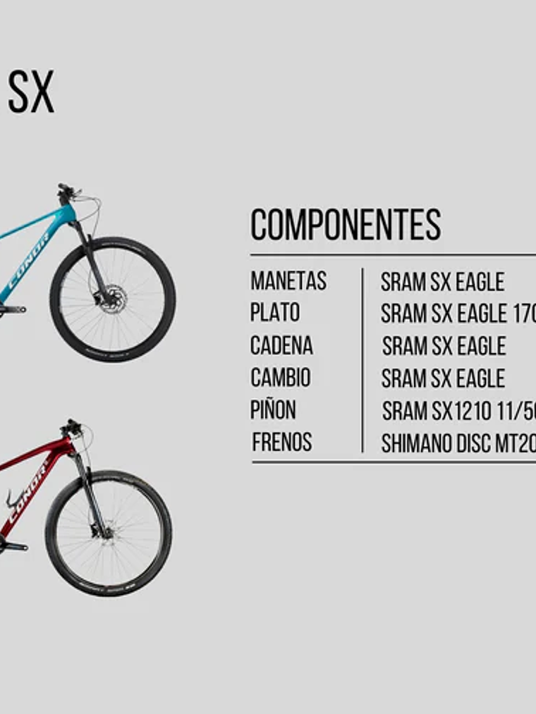 SPECIAL SX EAGLE 12s RED MD/430 CARBONO 2