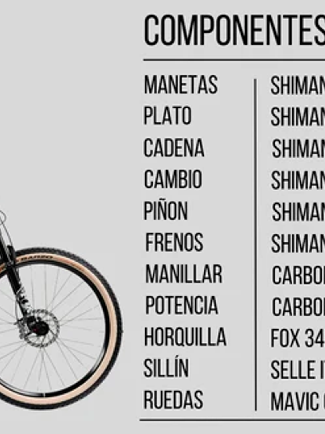 THUNDER XT 29″ 12s BLUE 5