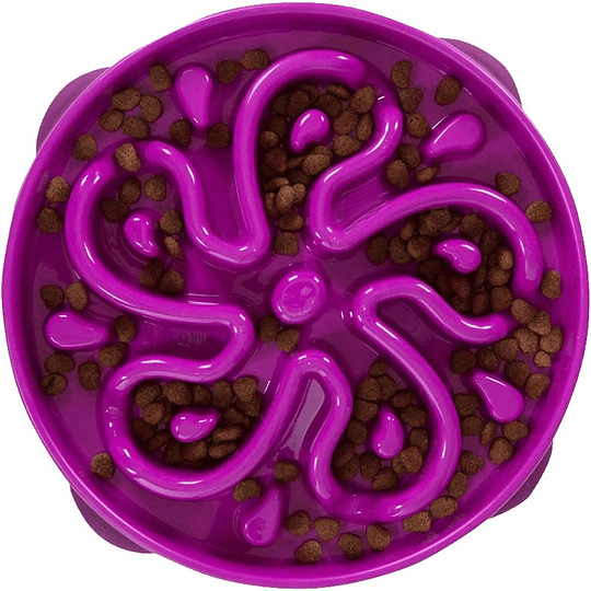 Plato Alimentación Lenta - Tamaño L Púrpura