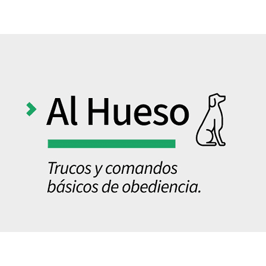 CURSO - AL HUESO