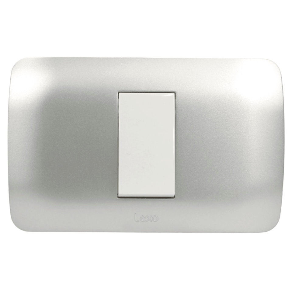 Interruptor 9/12 10A Blanco / Plata Lexo  2