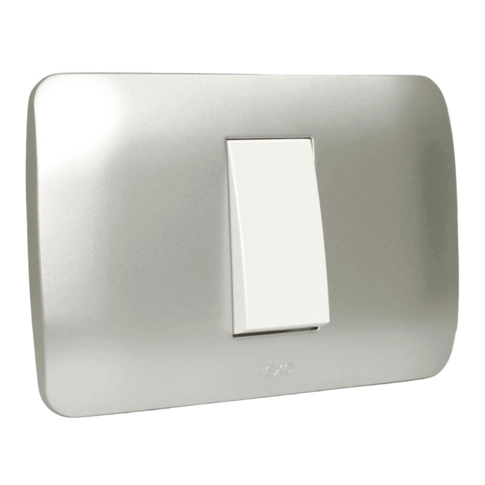 Interruptor 9/24 10A Blanco / Plata LEXO 1
