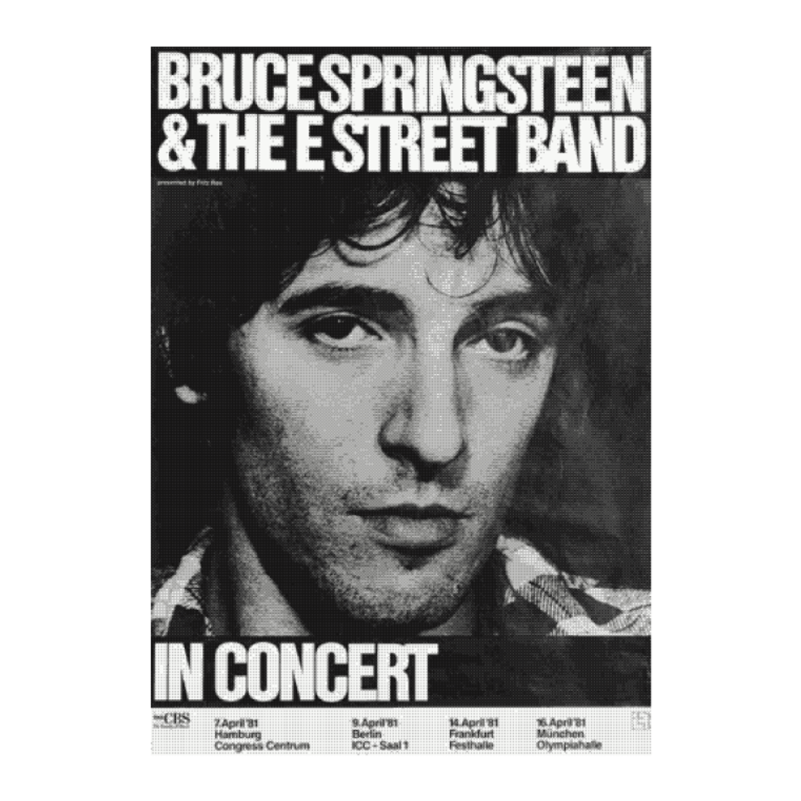 POLERA BRUCE SPRINGSTEEN — STAGE PORTRAIT 3