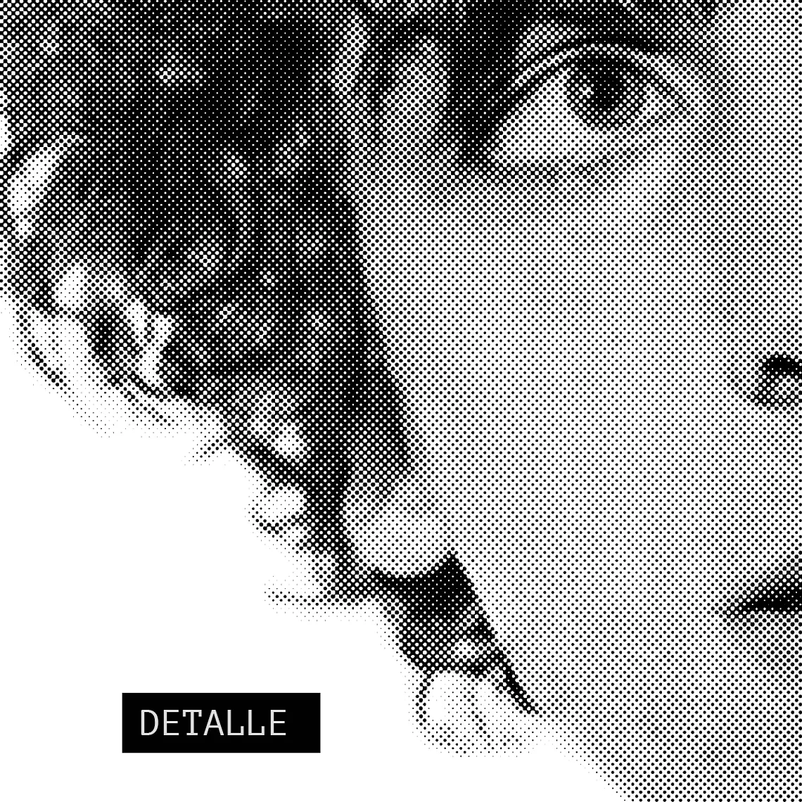 Polera Syd Barrett – Madcap Halftone Portrait 3