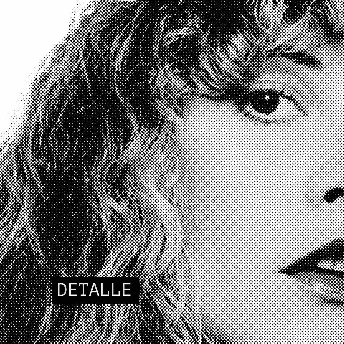 Polera Stevie Nicks – Silver Springs Halftone Portrait 3