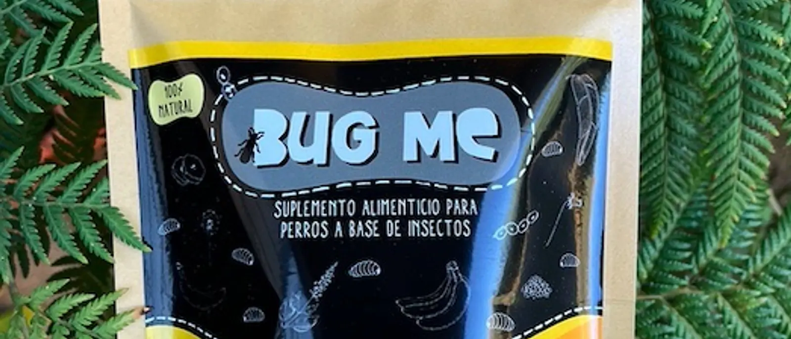 Beneficios de los insectos comestibles