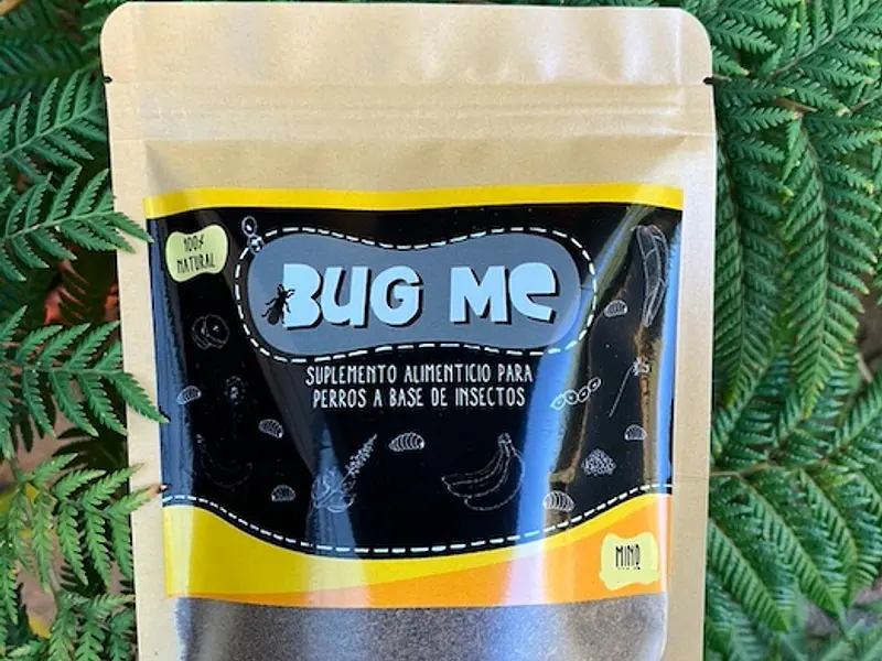 Beneficios de los insectos comestibles