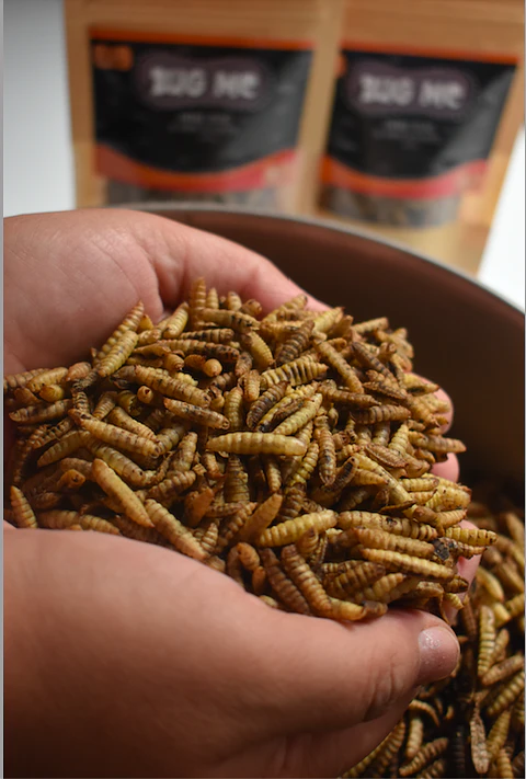 Larvas deshidratadas 50gr