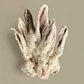 Orejas de Conejo - Miniatura 2