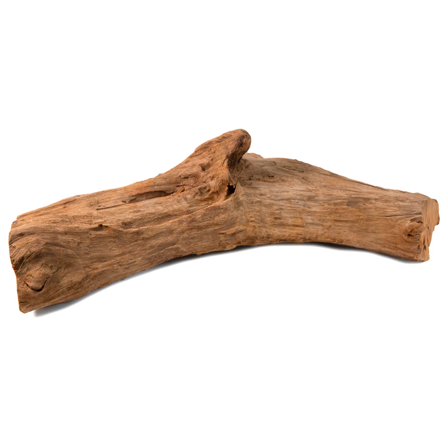 Tronco natural madera pequeño decoración acuario o terrario 1