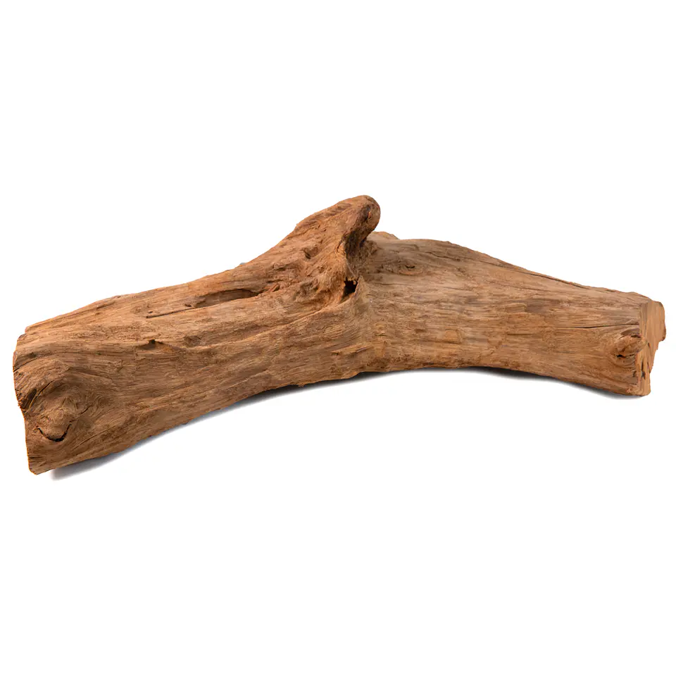 Tronco natural madera pequeño decoración acuario o terrario 1