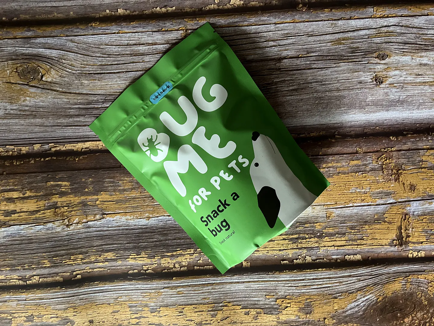 Snack a Bug 1