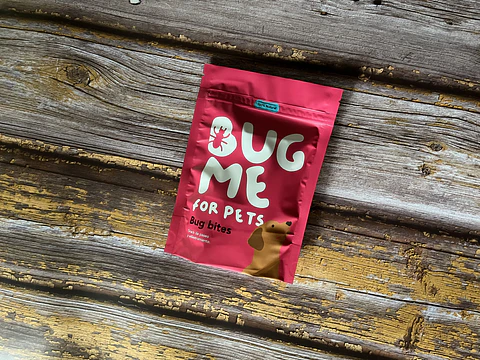 Bug Bites